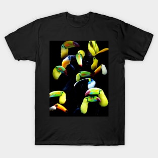 Toucans T-Shirt